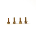 Gold plated sems screws with washers